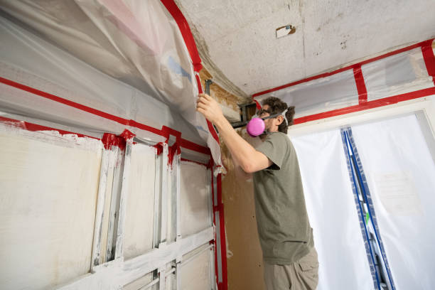 Trusted South Burlington, VT Mold Inspection, Removal & Remediation Experts